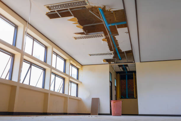 Best Flood damage cleanup  in Morenci, AZ