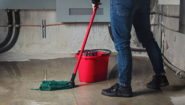 Best Flood restoration services  in Morenci, AZ