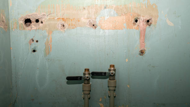 Trusted Morenci, AZ Water damage restoration Experts