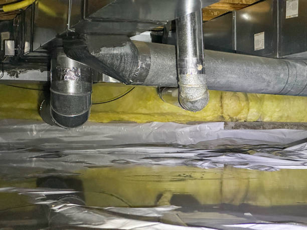 Best 24-hour water damage restoration  in Morenci, AZ